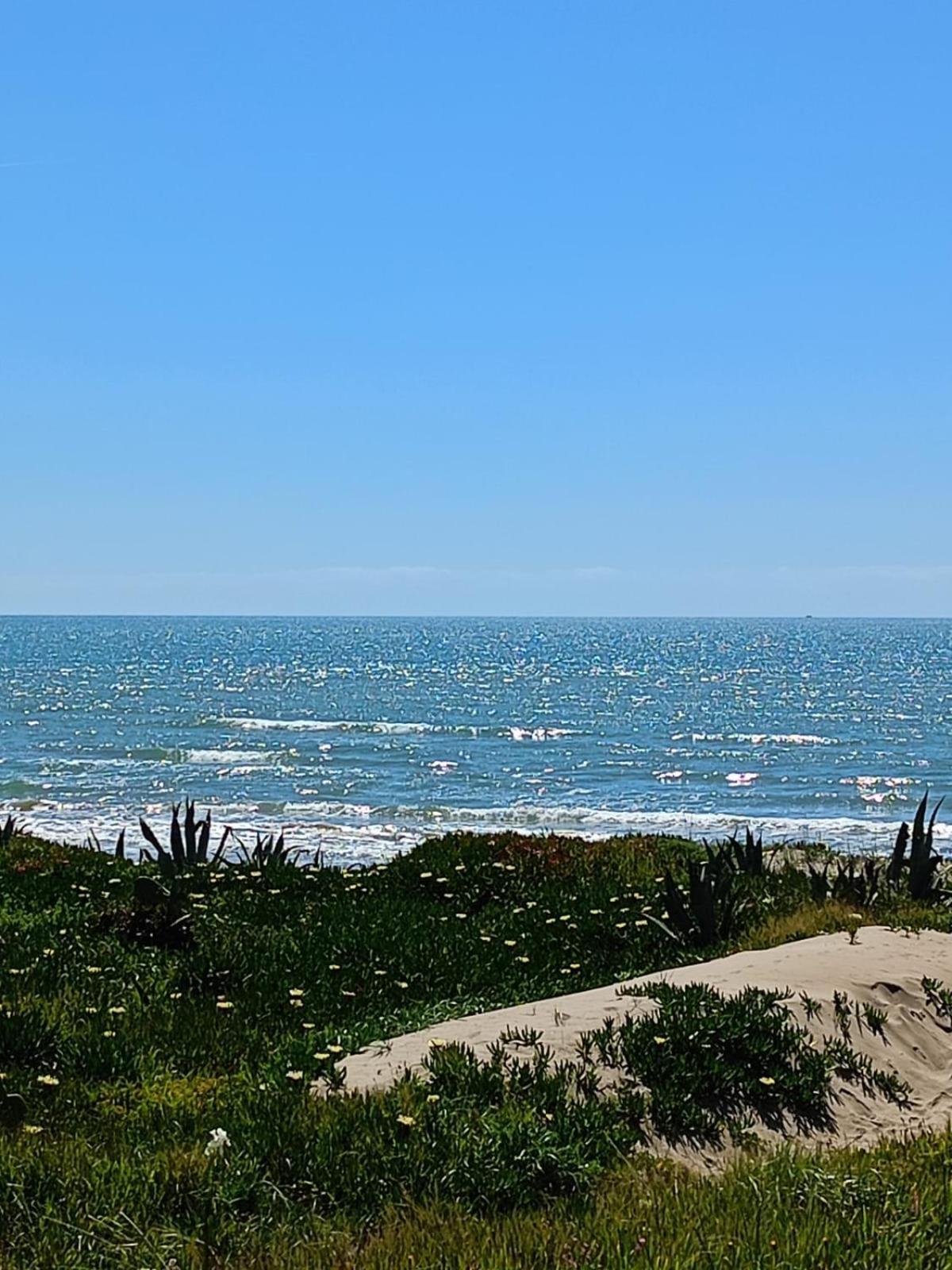 Blu Angel Διαμέρισμα Lido dei Pini Εξωτερικό φωτογραφία