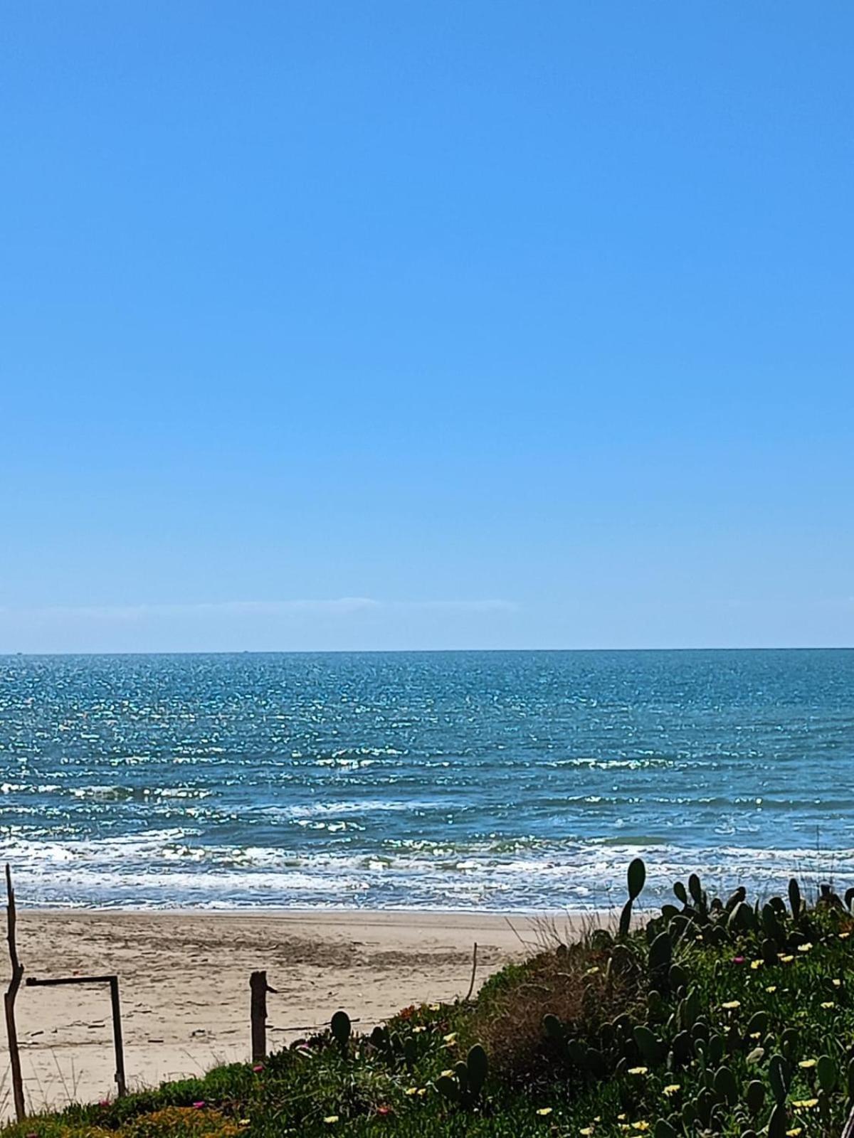 Blu Angel Διαμέρισμα Lido dei Pini Εξωτερικό φωτογραφία