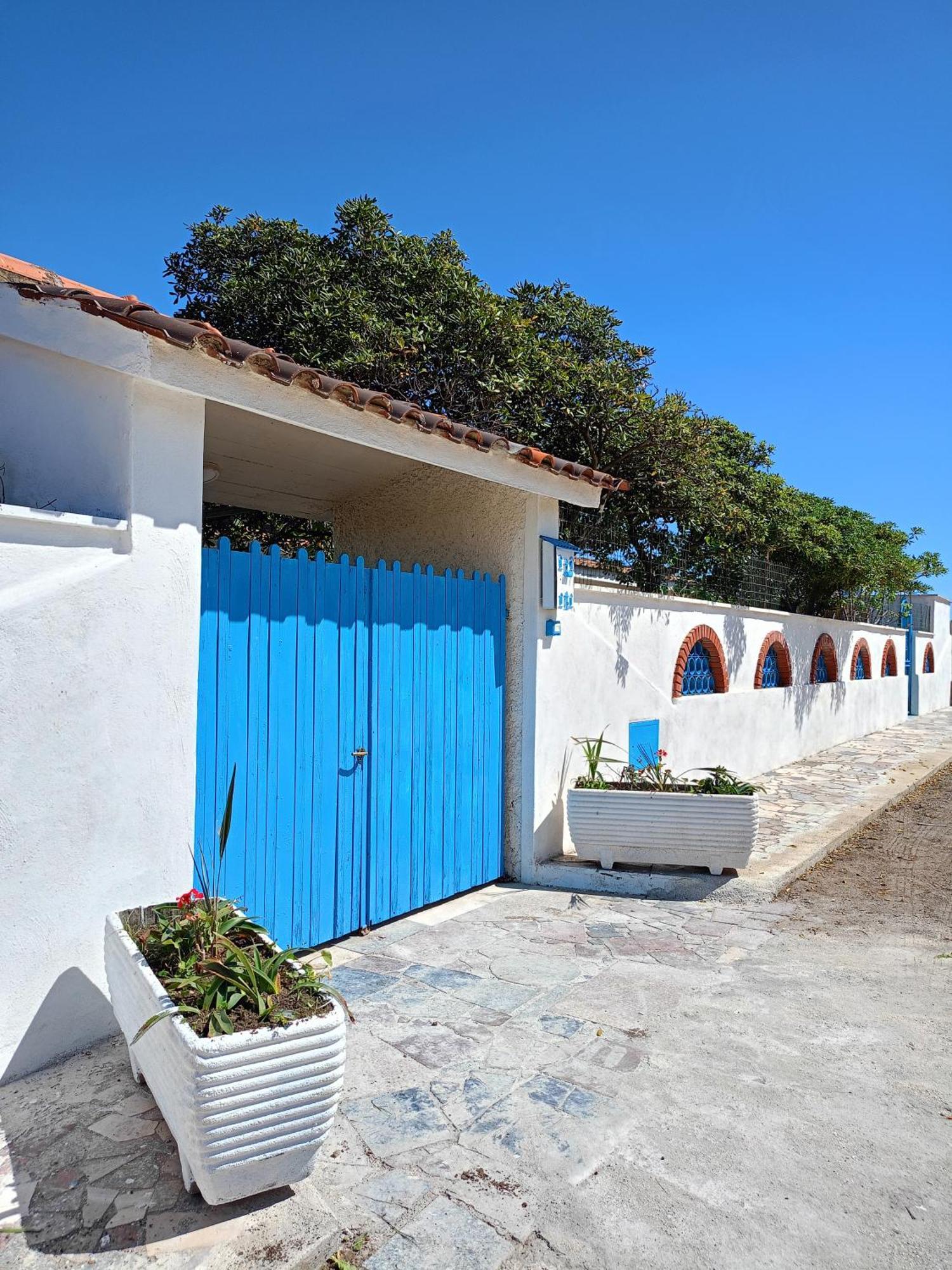 Blu Angel Διαμέρισμα Lido dei Pini Εξωτερικό φωτογραφία