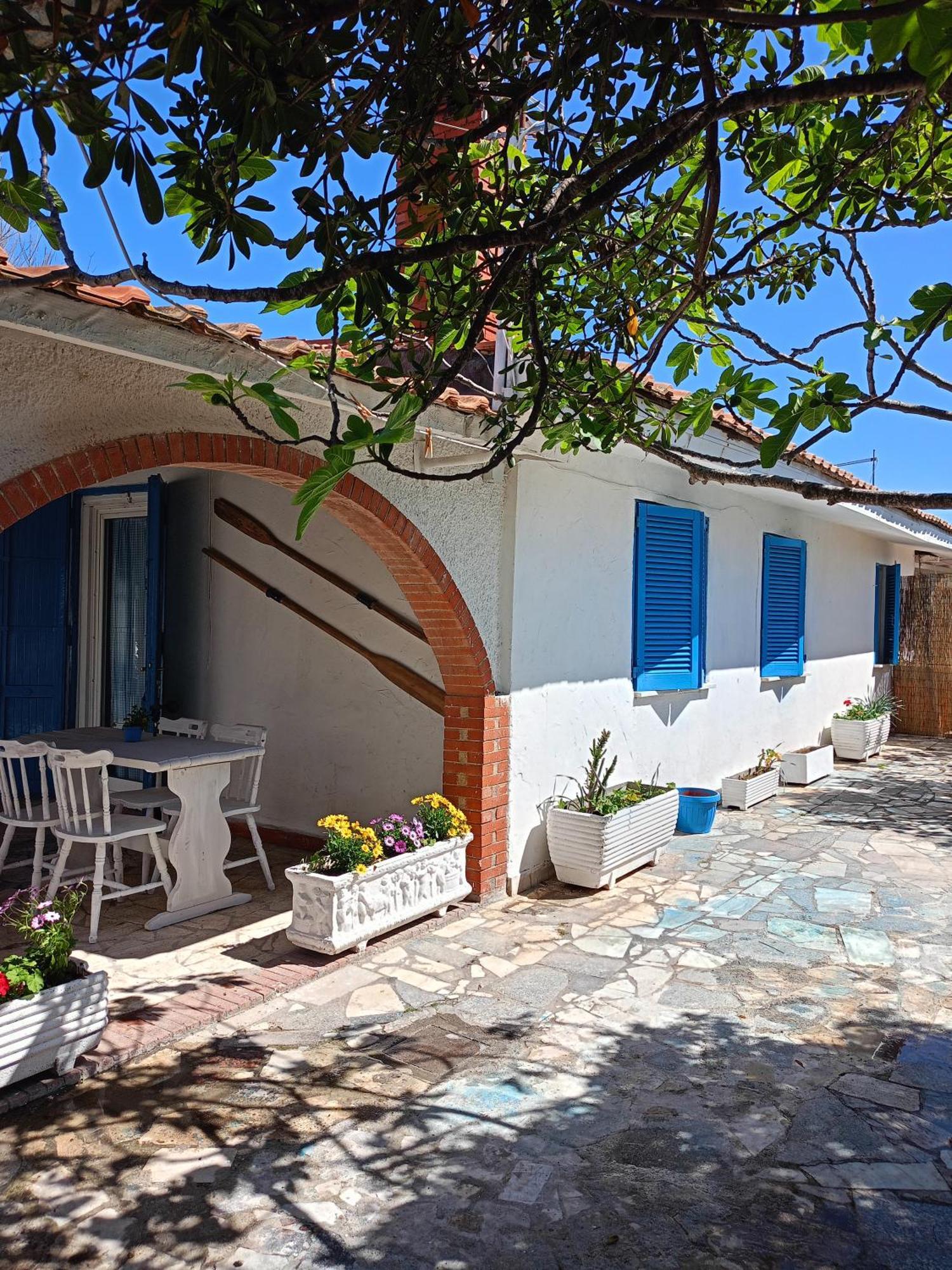 Blu Angel Διαμέρισμα Lido dei Pini Εξωτερικό φωτογραφία