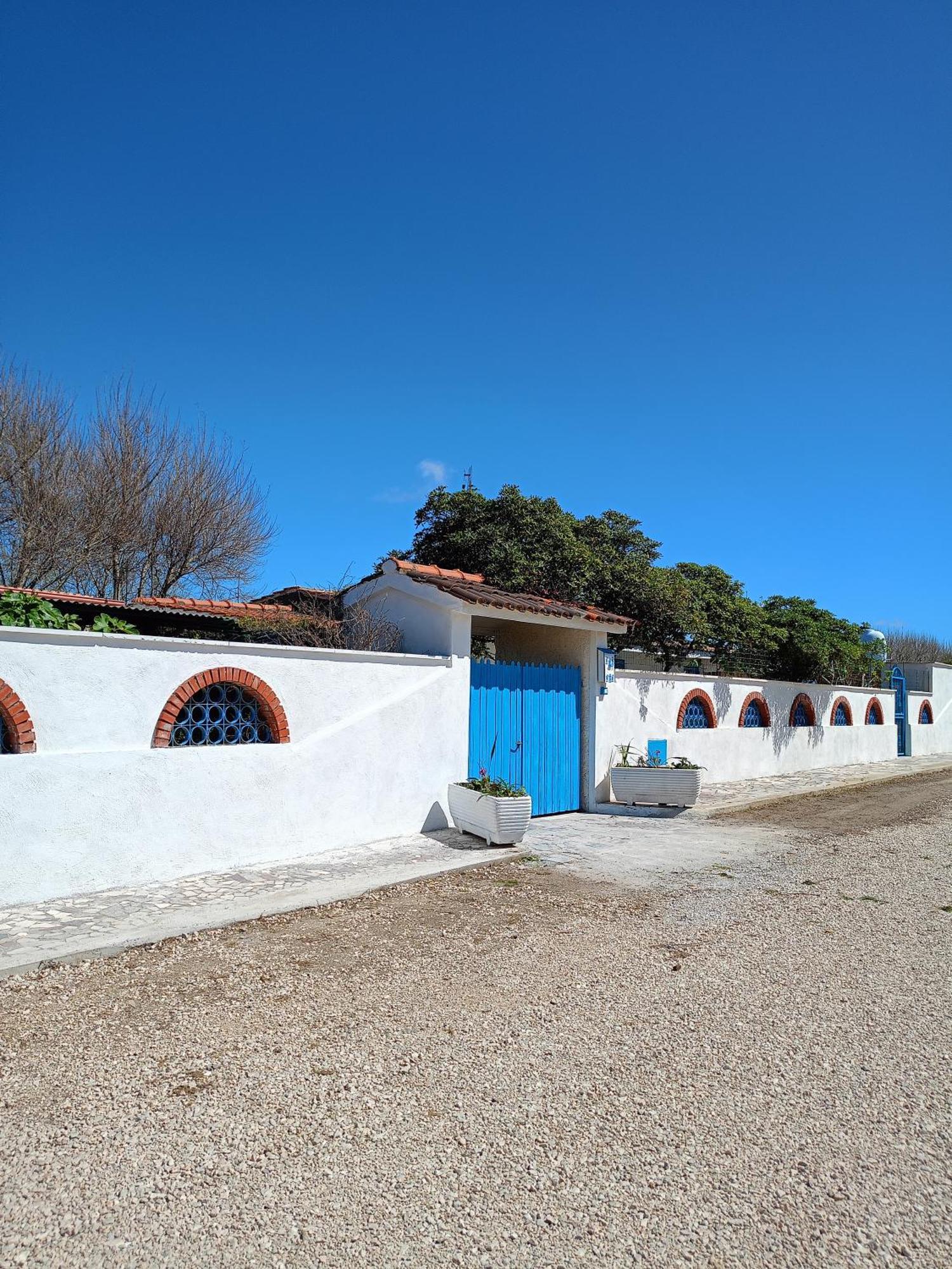 Blu Angel Διαμέρισμα Lido dei Pini Εξωτερικό φωτογραφία