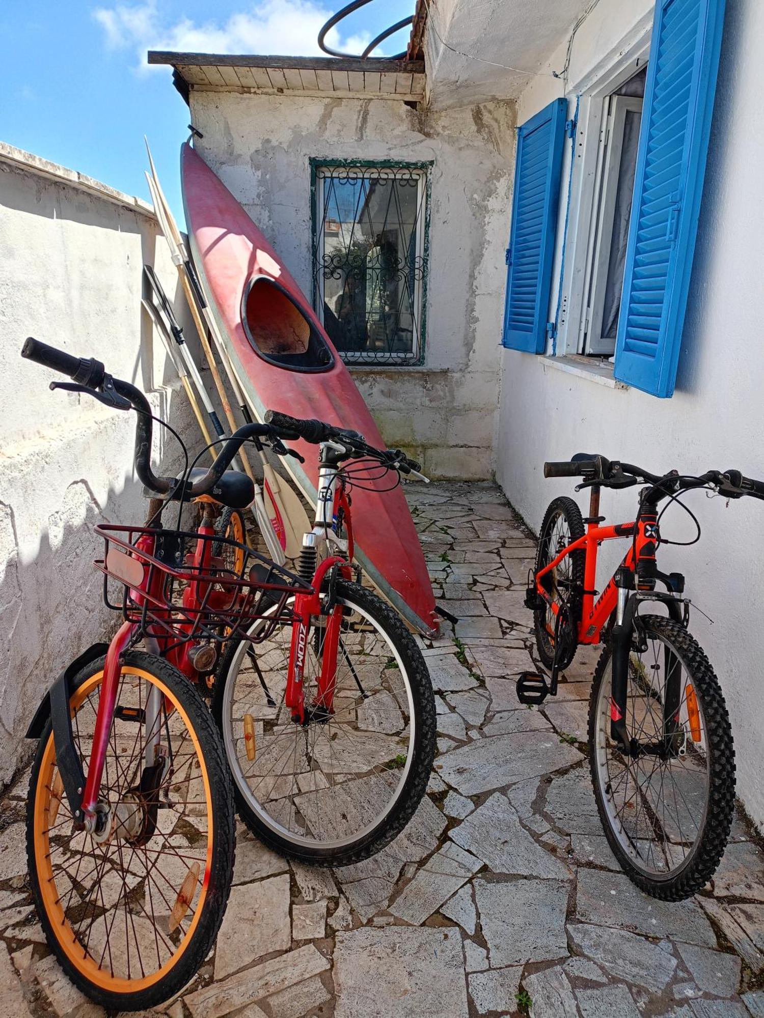 Blu Angel Διαμέρισμα Lido dei Pini Εξωτερικό φωτογραφία
